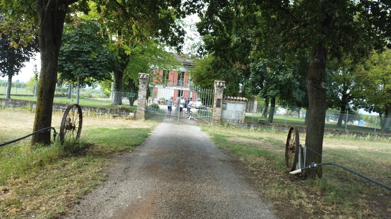 Viale d’ingresso alla casa dell’azienda